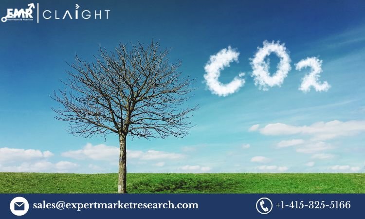 United Kingdom Carbon Dioxide Market: Growth,Trends, and Forecast (2025-2034)