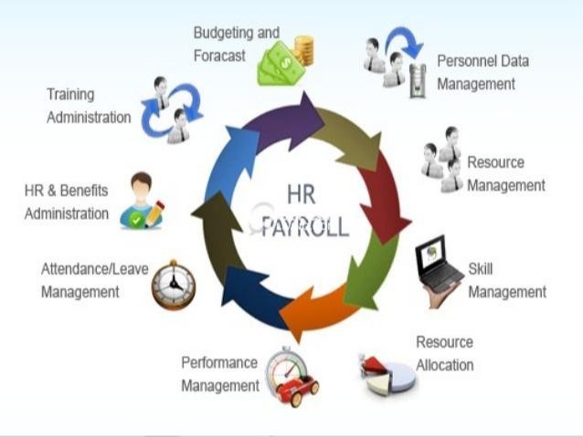 Understanding Payroll Software Price to Choose Right Solution for Business