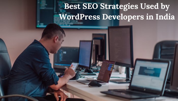 Best SEO Strategies Used by WordPress Developers in India