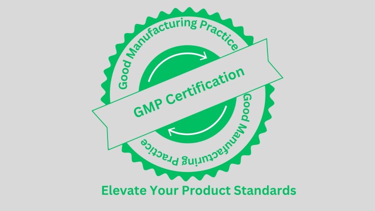 GMP Certification Simplified: Elevate Your Product Standards