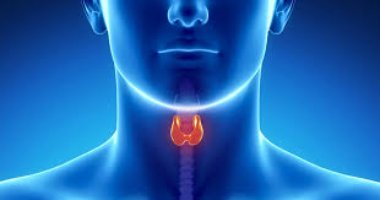 Why Choosing the Best Thyroid Surgeon UAE Can Improve Your Recovery Time