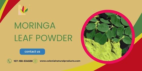 Moringa Leaf Powder The Superfood You Need