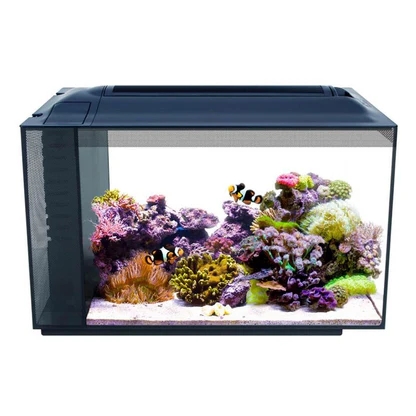 What Are the Essential Accessories for an Aquarium Fish Tank?